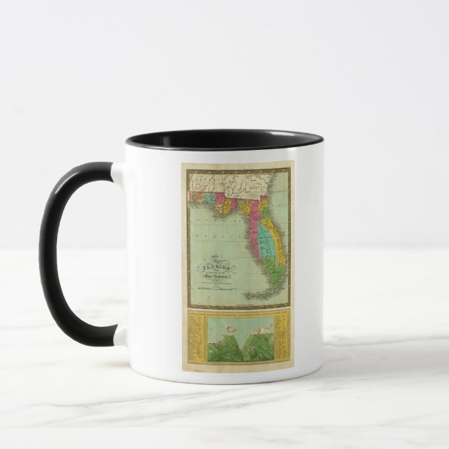 Map of Florida Mug (Left)