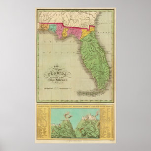 Map of Florida Poster