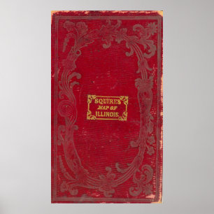 Map of Illinois Poster