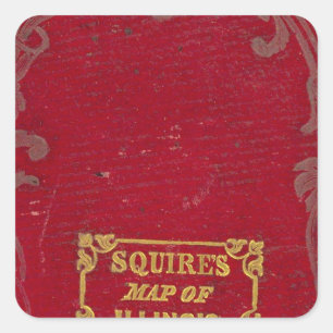 Map of Illinois Square Sticker