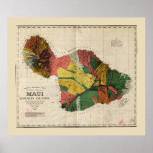 Map of Maui, Hawaiian Island (1885) Poster
