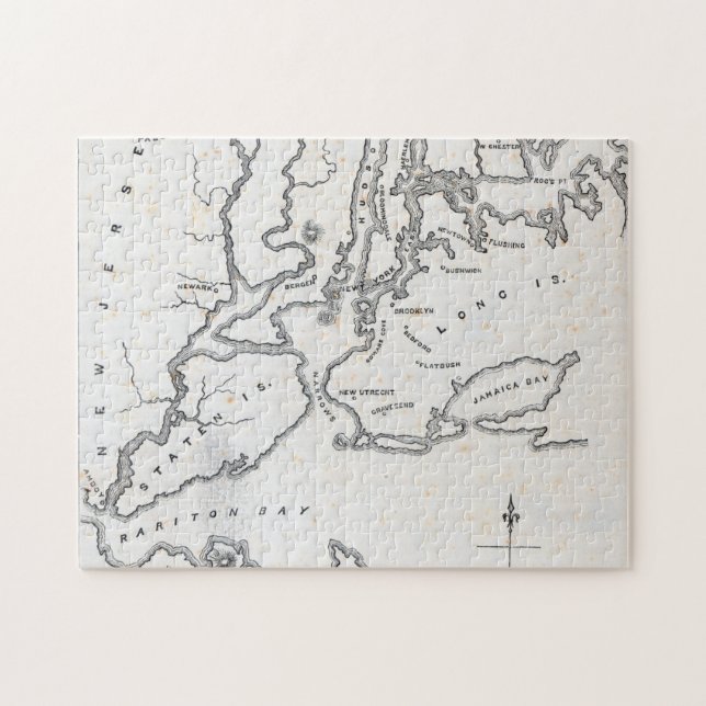 Map of New York and the Vicinity Jigsaw Puzzle (Horizontal)