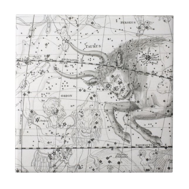 Map of The Constellations Plate XIV Ceramic Tile (Front)
