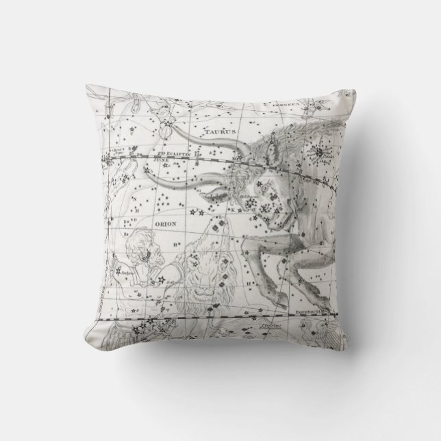Map of The Constellations Plate XIV Cushion (Front)
