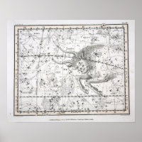Map of The Constellations Plate XIV