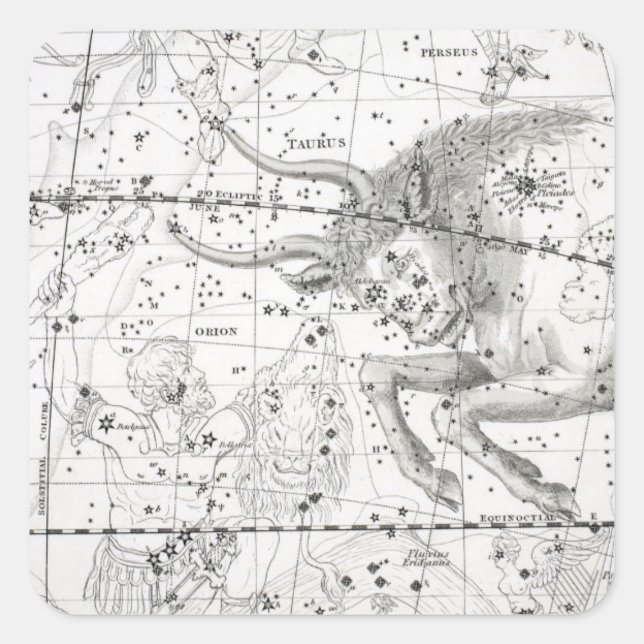 Map of The Constellations Plate XIV Square Sticker (Front)