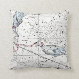 Map of The Constellations Plate XXII Cushion