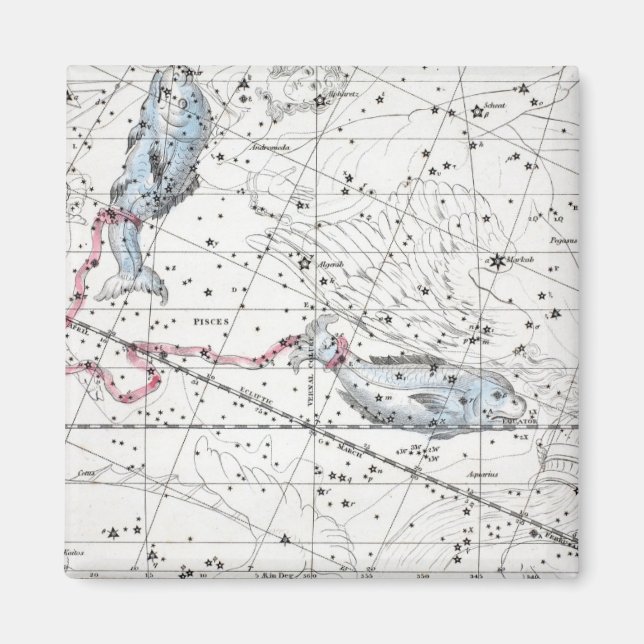Map of The Constellations Plate XXII Magnet (Front)