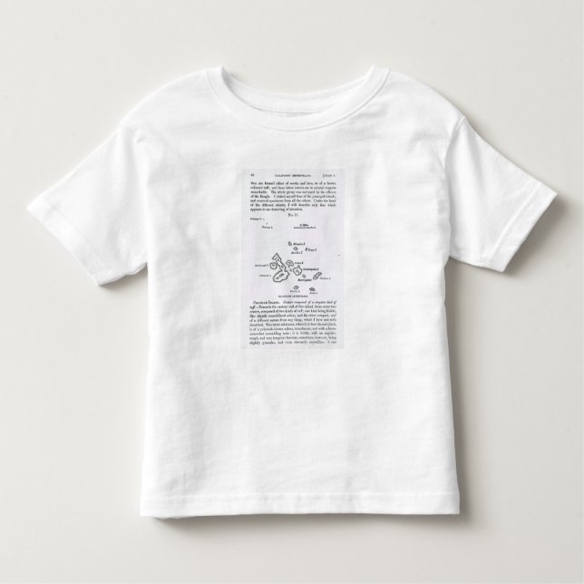 Map of the Galapagos Archipelago, 1844 Toddler T-Shirt (Front)