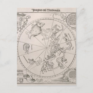 Map of the Southern Sky Postcard