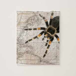 map spider jigsaw puzzle