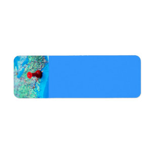 Map-with-pin-on-Washington MAP BLUE OCEAN LAND WAS Return Address Label
