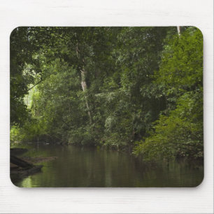 Mapari River, Mapari Rupununi, Guyana. Mouse Pad