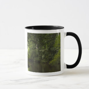 Mapari River, Mapari Rupununi, Guyana. Mug