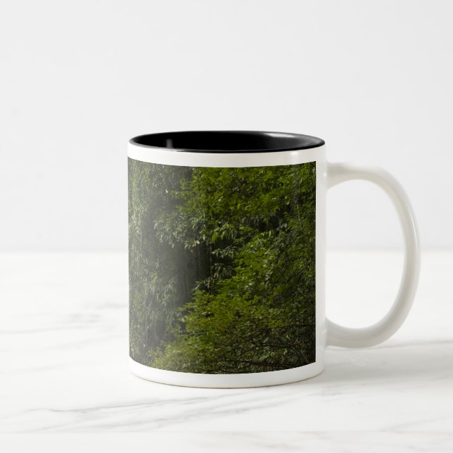 Mapari River, Mapari Rupununi, Guyana. Two-Tone Coffee Mug (Right)
