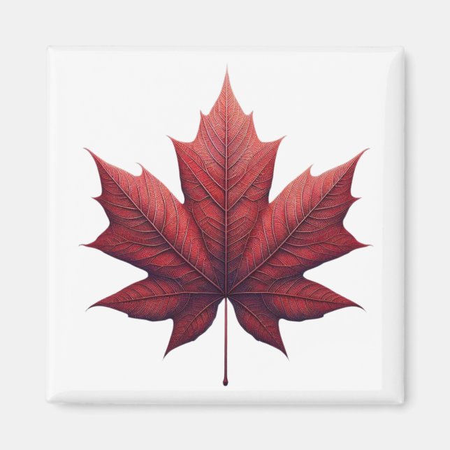 Mapel Leaf Magnet (Front)