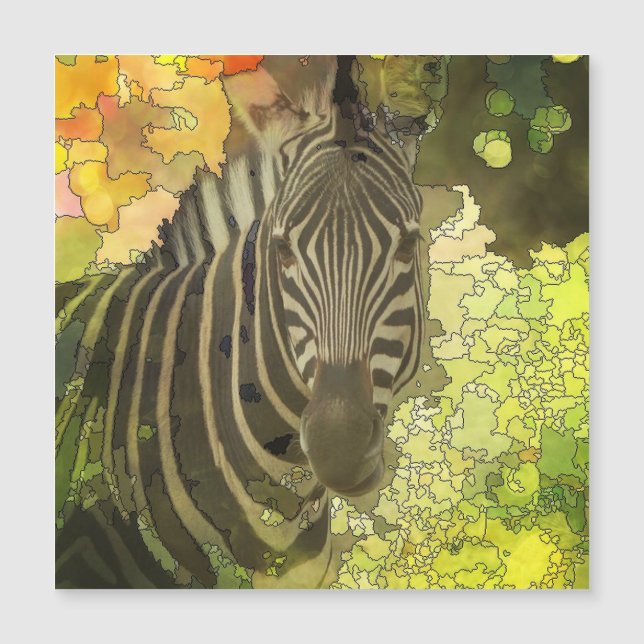 Mapified - Zebra (Front)