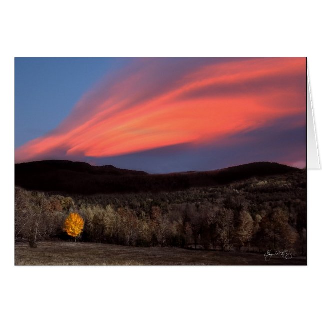 Maple Ablaze at Sunset (Front Horizontal)