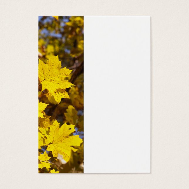 Maple branch with yellow leaves (Front)