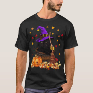Maple Cat Leaf Leaves Fall Hello Autumn Funny Kitt T-Shirt