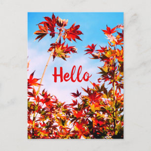 Maple (Customisable Text) Postcard