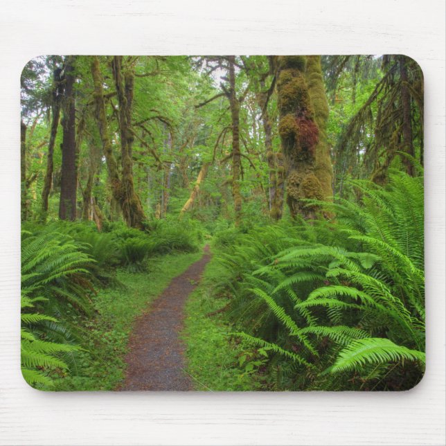 Maple Glade trail, ferns and moss covered Mouse Pad (Front)
