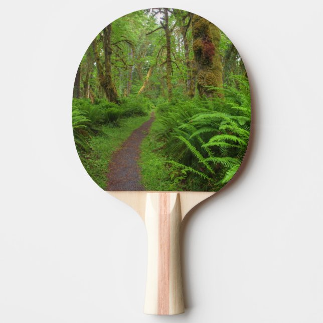 Maple Glade trail, ferns and moss covered Ping Pong Paddle (Front)