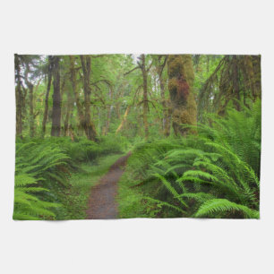 Maple Glade trail, ferns and moss covered Tea Towel