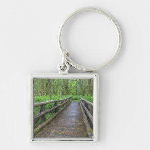Maple Glade trail wooden bridge, ferns and Key Ring