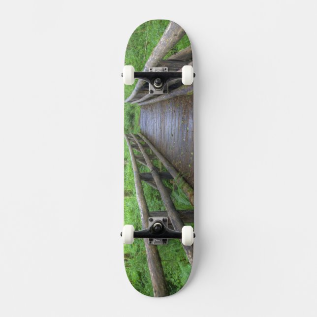 Maple Glade trail wooden bridge, ferns and Skateboard (Front)