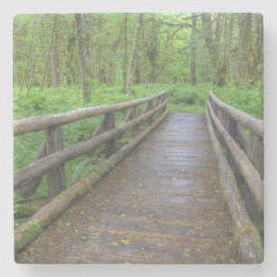 Maple Glade trail wooden bridge, ferns and Stone Coaster