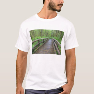 Maple Glade trail wooden bridge, ferns and T-Shirt