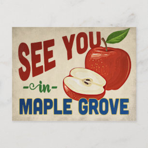 Maple Grove Minnesota Apple - Vintage Travel Postcard
