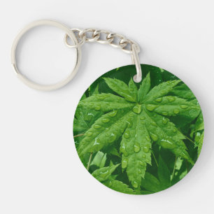 Maple in Spring Key Ring