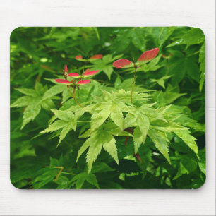 Maple in Spring Mouse Pad