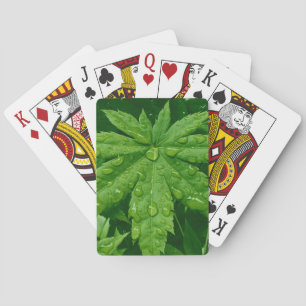 Maple in Spring Playing Cards