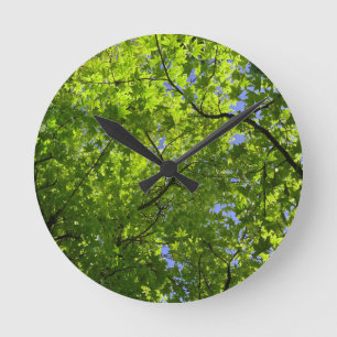 Maple in Spring Round Clock