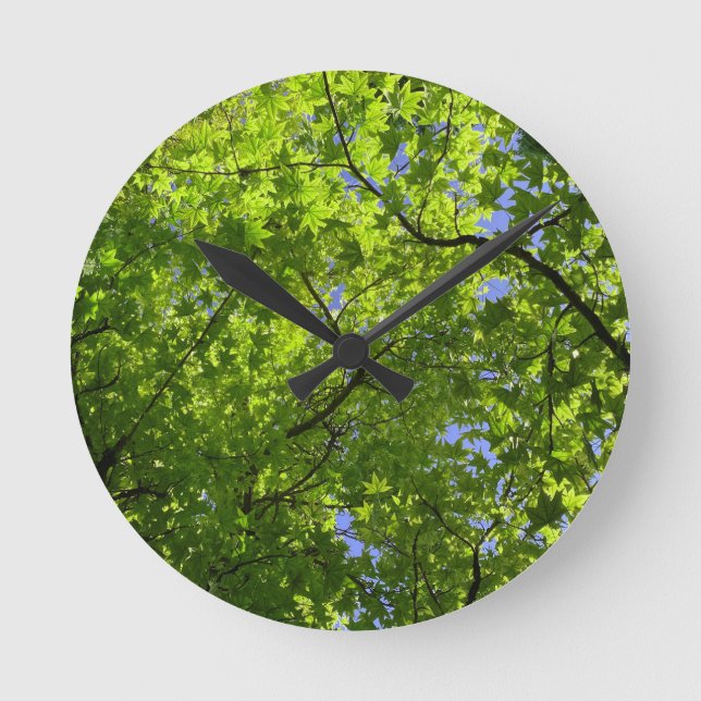 Maple in Spring  Round Clock (Front)