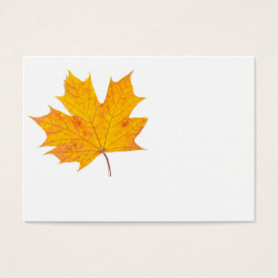 Maple leaf