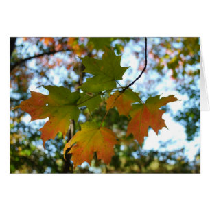 Maple Leaf blank card