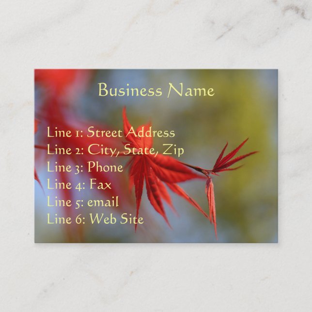 Maple Leaf, Business Card (Front)