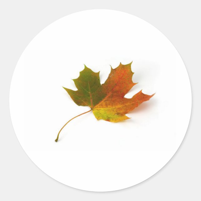 maple leaf classic round sticker (Front)