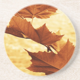 Maple leaf Coaster