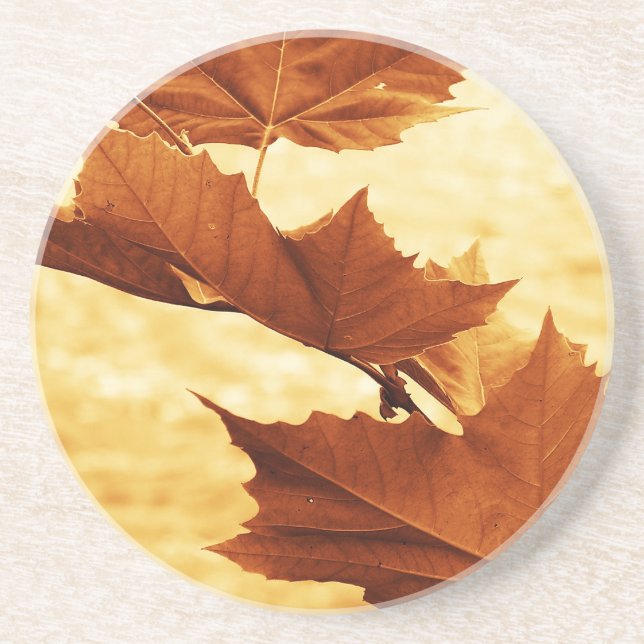 Maple leaf  Coaster (Front)