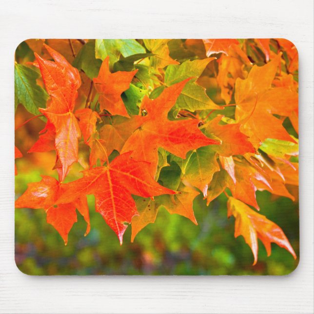 Maple Leaf Dance Mouse Pad (Front)