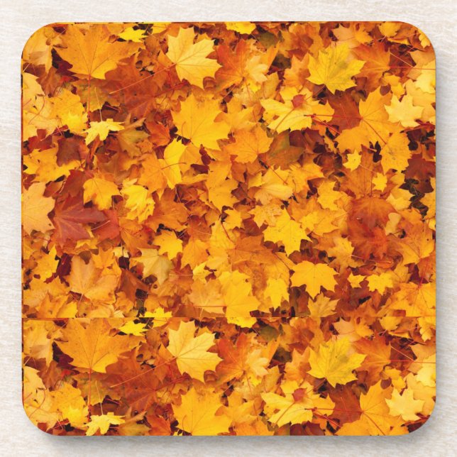 Maple leaf Design Coaster (Front)