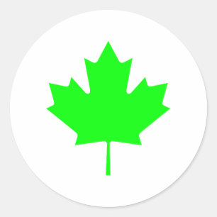 Maple Leaf Green LtTransp The MUSEUM Zazzle Gifts Classic Round Sticker