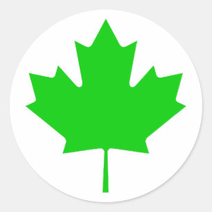 Maple Leaf Green Transp The MUSEUM Zazzle Gifts Classic Round Sticker