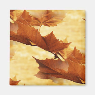 Maple leaf Magnet