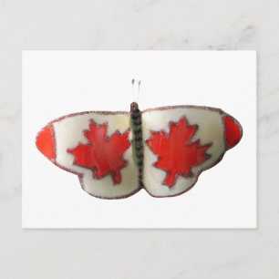 "Maple Leaf Monarch" Canadian Flag Butterfly  Postcard